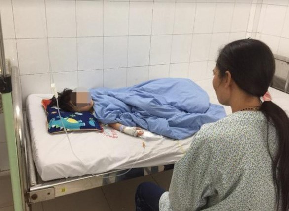 Để chó nuôi cắn chết người, người chủ có thể bị truy cứu trách nhiệm hình sự - ảnh 1