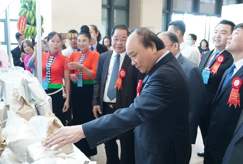 Giai cấp nông dân luôn có vị trí, vai trò đặc biệt quan trọng trong lịch sử dựng nước và giữ nước của dân tộc - ảnh 1