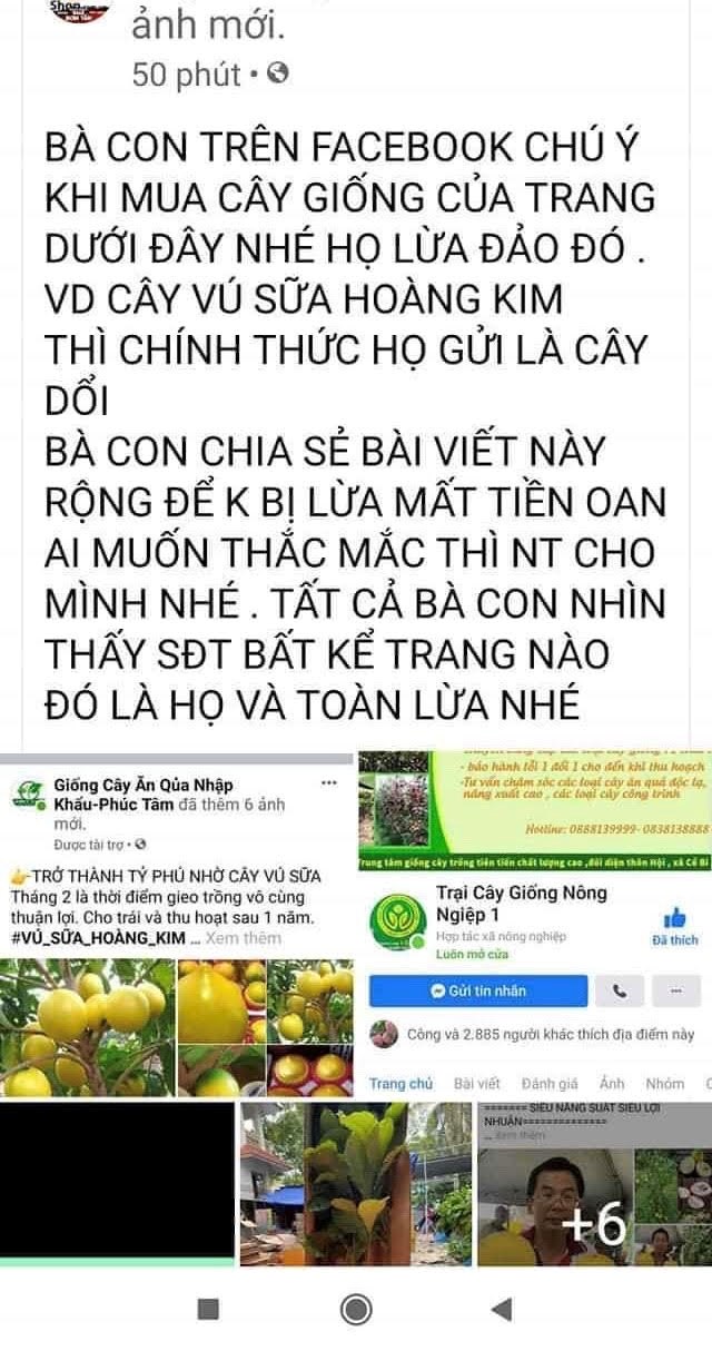 Cảnh báo thủ đoạn lừa bán cây, hạt giống - ảnh 3
