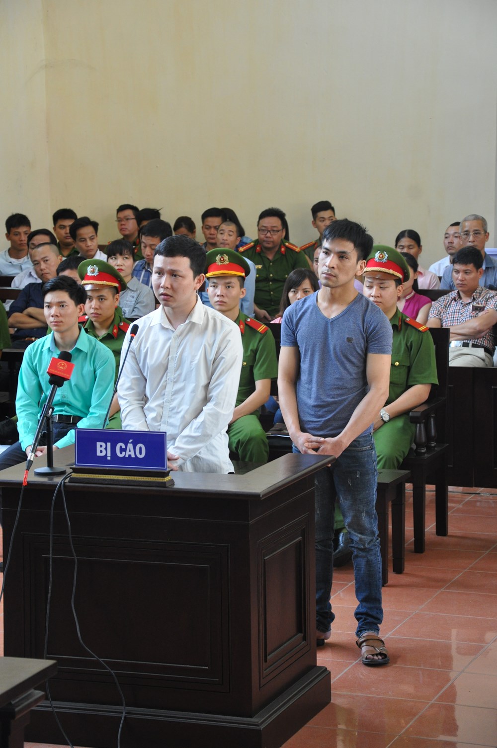 Vụ án sự cố chạy thận tại BVĐK tỉnh Hòa Bình: Sẽ xét xử vào đầu tháng 1 năm 2019 - ảnh 1