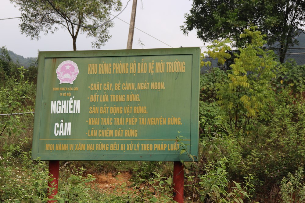 Gần hết thời hạn, vì sao vẫn chưa cưỡng chế các hộ dân vi phạm đất rừng Sóc Sơn? - ảnh 2
