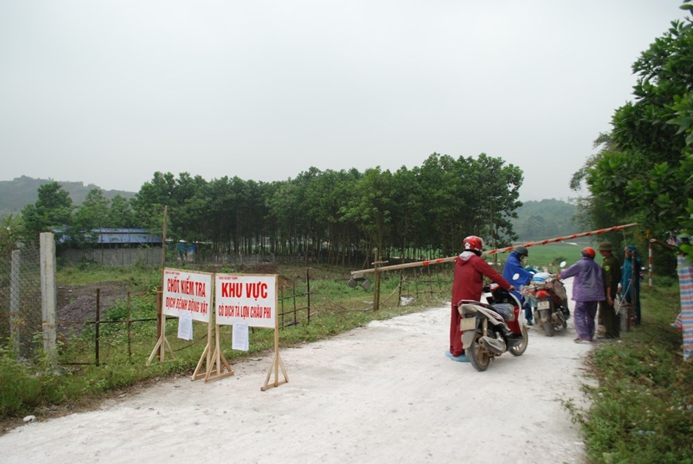 Dịch tả lợn châu Phi: Chống dịch và chống tâm lý quay lưng với thịt lợn an toàn - ảnh 1