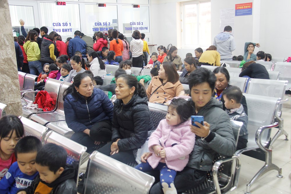Vụ học sinh trường Mầm non bị nhiễm sán lợn: Có thể khởi tố vụ án, khởi tố bị can - ảnh 1