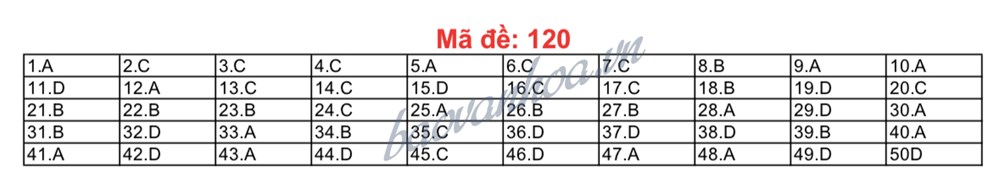 Kết thúc môn thi thứ hai kỳ thi THPT Quốc gia: Đề thi dễ dàng đạt phổ điểm 5-7 - ảnh 1