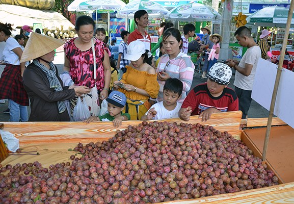 Lễ hội trái cây Nam Bộ phục vụ du khách suốt ba tháng hè - ảnh 5