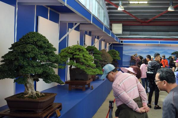 Việt Nam đăng cai Lễ hội Bonsai & Suiseki châu Á - Thái Bình Dương - ảnh 2