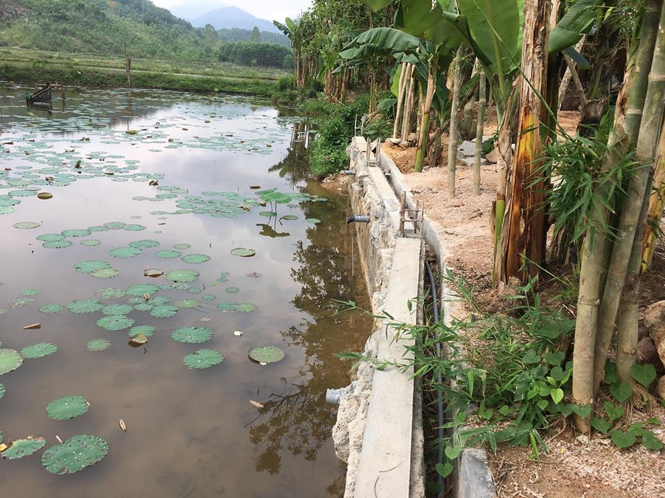 nghi duong chui 4