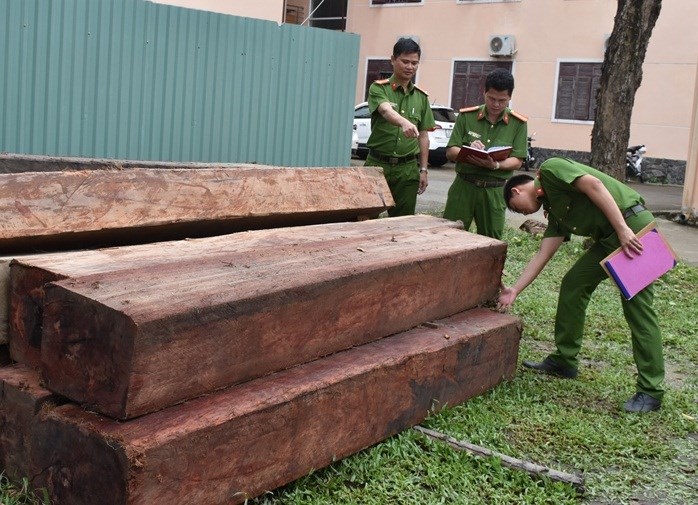 gỗ 3