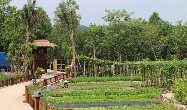 nghi duong 2