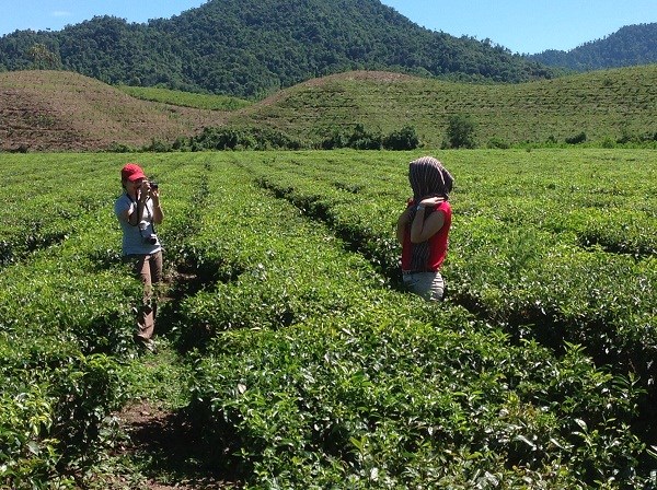 hoi nghi du lich mien nui 2