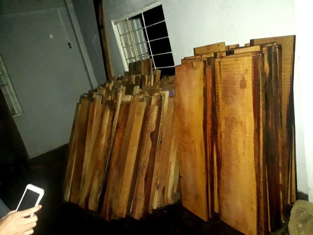 gỗ-tạm-giữ-1