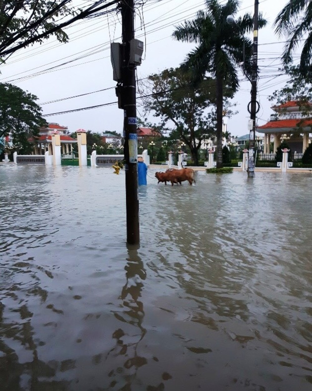khac phuc 1