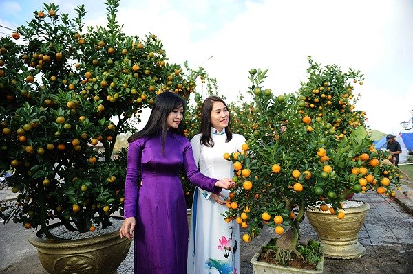 quật 2b-du khách