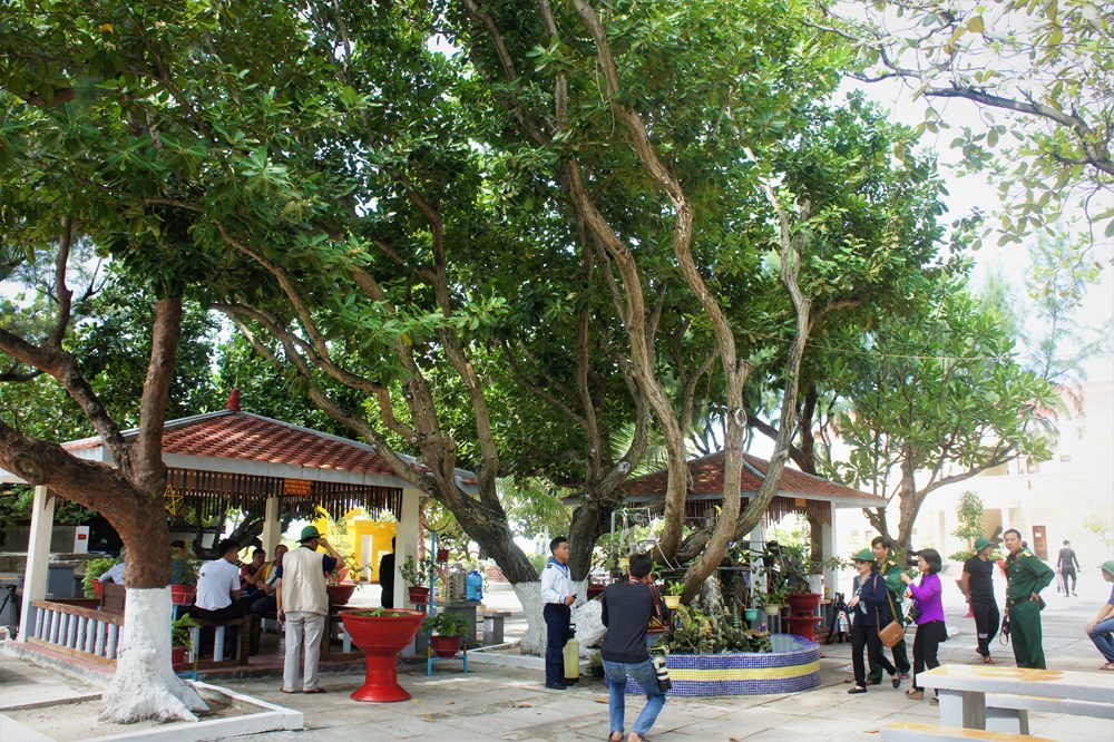 Tết trồng cây ở Trường Sa đầu xuân Kỷ Hợi 2019 - ảnh 3