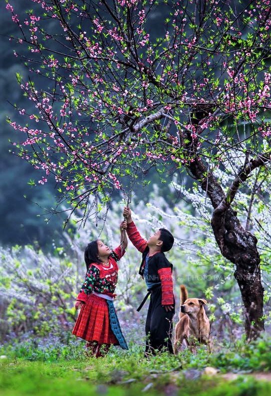 Xuân này, nhớ ngược lên phía Bắc - ảnh 2