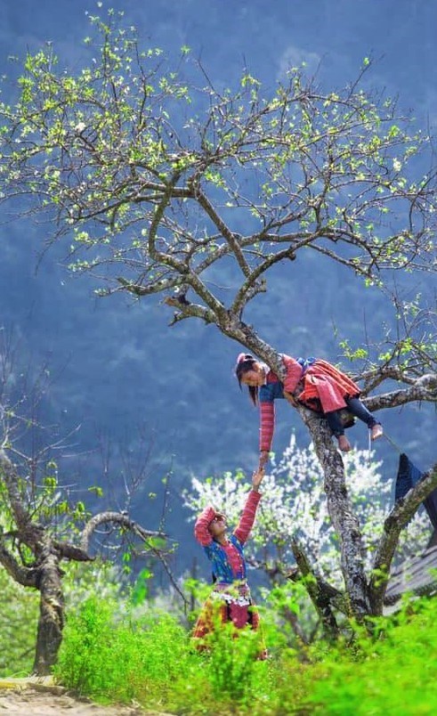 Xuân này, nhớ ngược lên phía Bắc - ảnh 3
