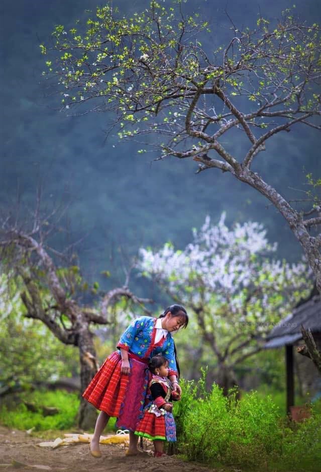 Xuân này, nhớ ngược lên phía Bắc - ảnh 4