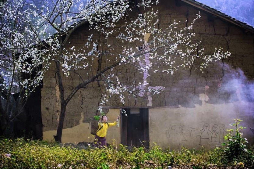 Xuân này, nhớ ngược lên phía Bắc - ảnh 8