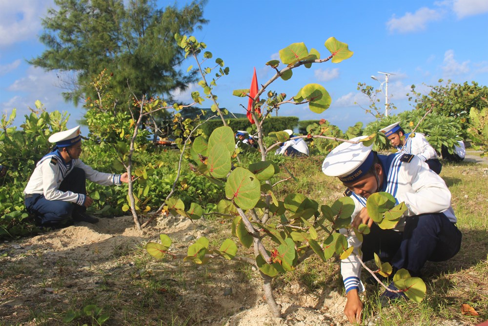 Tết trồng cây ở Trường Sa đầu xuân Kỷ Hợi 2019 - ảnh 9