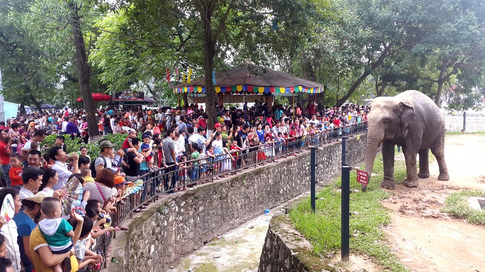 Không để xảy ra tình trạng tùy tiện tăng giá tại các điểm đến du lịch - ảnh 2