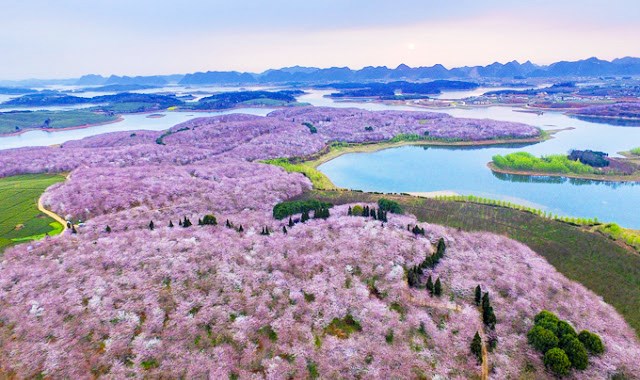 Hội Du lịch Cộng đồng Việt Nam khảo sát tuyến điểm mới tại Trung Quốc - ảnh 3