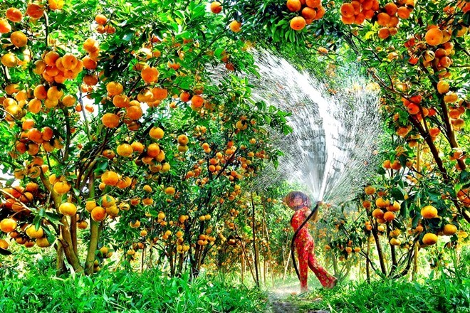 Lần đầu tiên du lịch Bình Dương quảng bá tại Hà Nội - ảnh 2