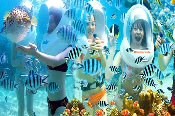 Đi bộ dưới đáy biển, không phải cứ có tiền là được - ảnh 2