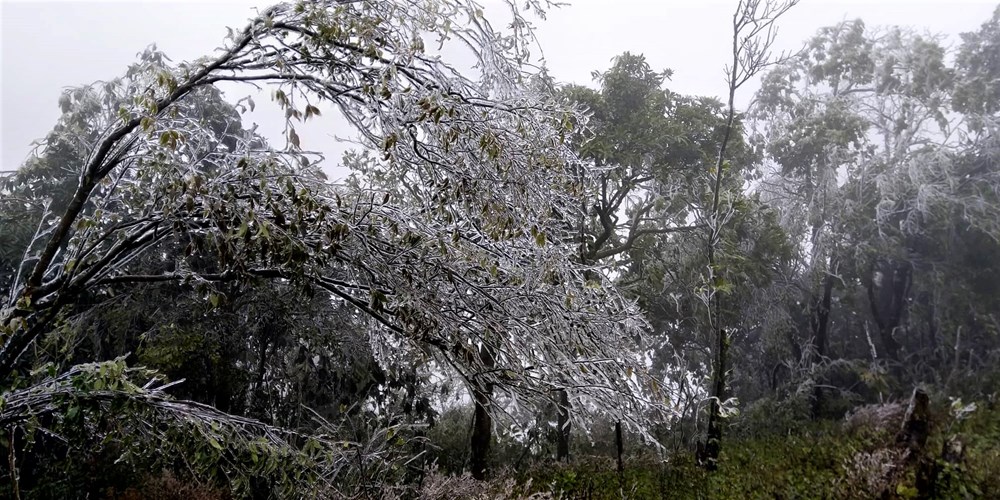 Khu du lịch Mẫu Sơn quá tải vì băng tuyết - ảnh 1