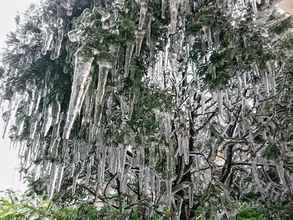 Khu du lịch Mẫu Sơn quá tải vì băng tuyết - ảnh 8