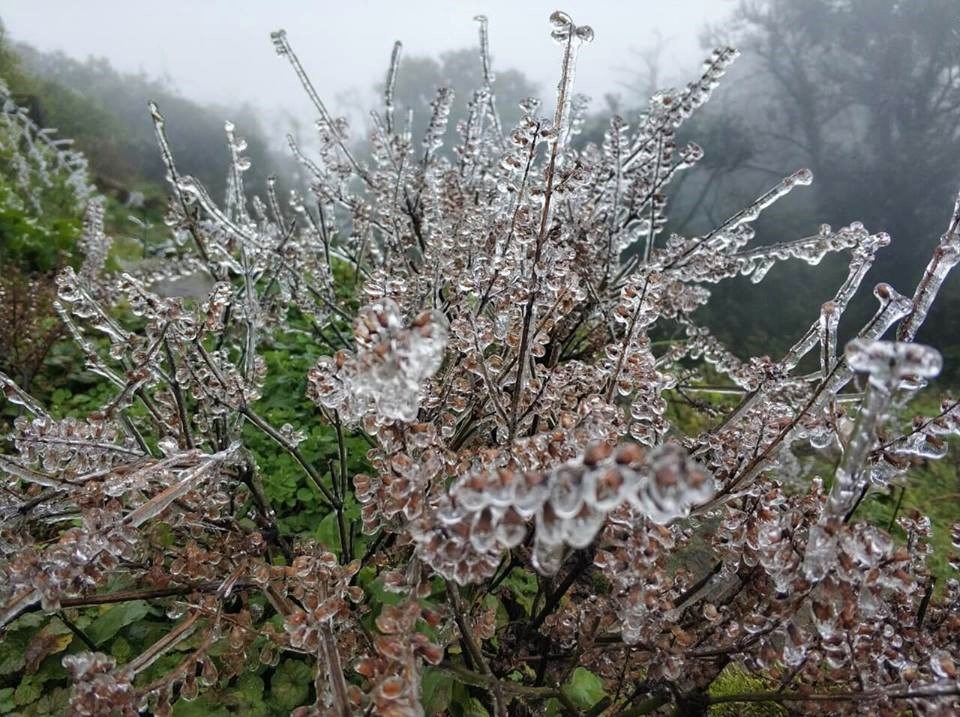 Khu du lịch Mẫu Sơn quá tải vì băng tuyết - ảnh 9