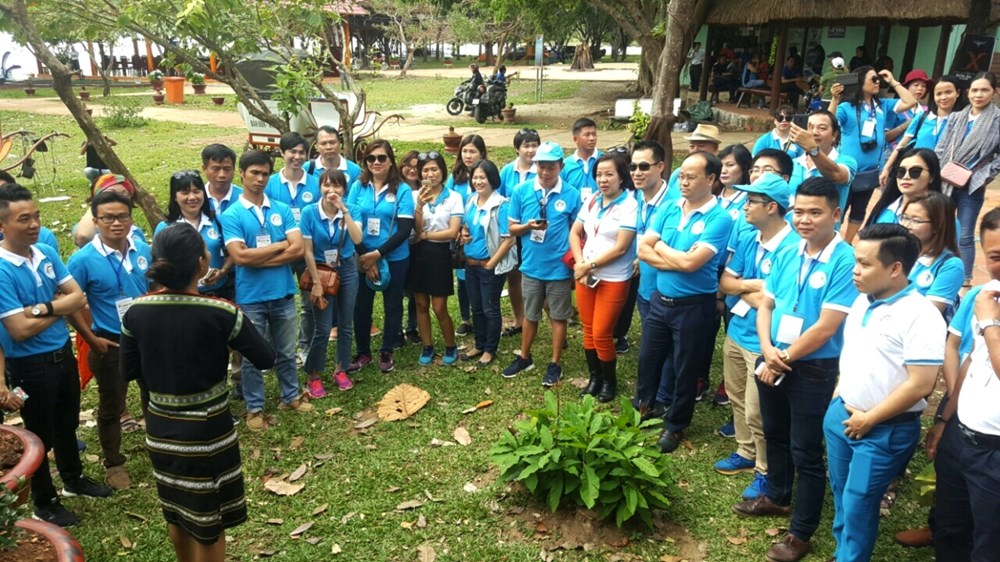 Về với biển xanh, hoa vàng và đại ngàn Tây Nguyên - ảnh 2