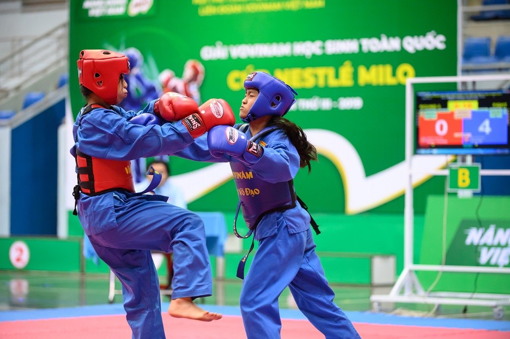 Khai mạc Giải Vovinam học sinh toàn quốc 2019 - ảnh 2