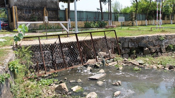 Công viên lớn nhất thành phố Đà Nẵng đang "chết mòn" do ô nhiễm - ảnh 2