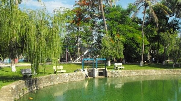 Công viên lớn nhất thành phố Đà Nẵng đang "chết mòn" do ô nhiễm - ảnh 3