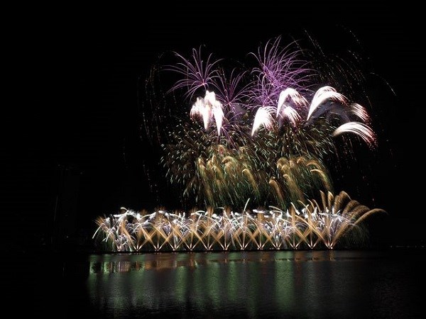 Đội Phần Lan giành ngôi vô địch DIFF 2019 - ảnh 7