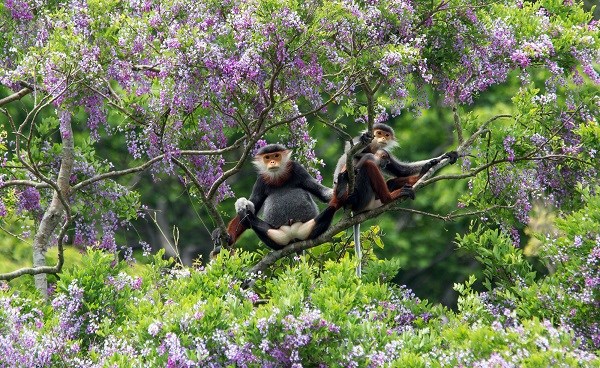 Trao giải cuộc thi ảnh "Tuyệt vời Đà Nẵng ơi" - ảnh 1