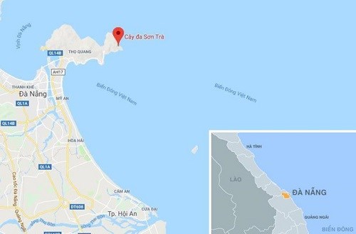 Một người dân tử vong khi trợ giúp nhóm du khách đi lạc trên bán đảo Sơn Trà - ảnh 1