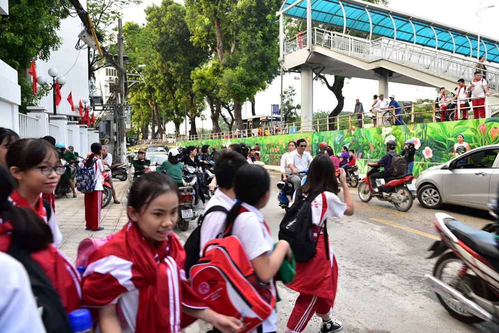 Bốn mùa hoa Hà Nội vào… tranh tường - ảnh 4
