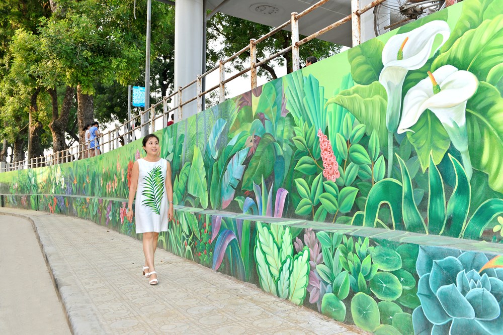 Bốn mùa hoa Hà Nội vào… tranh tường - ảnh 3