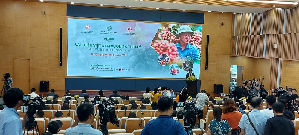 Đưa vải thiều Việt Nam đến với người tiêu dùng thế giới - ảnh 1