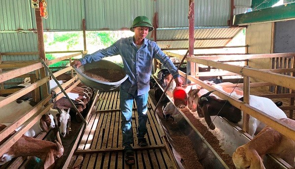 Sức sống mới nơi “Tọa độ lửa” - ảnh 1