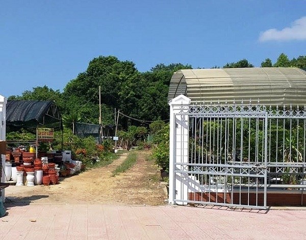 Nghệ An: Khắc phục sai phạm tại Ban Quản lý Quảng trường Hồ Chí Minh - ảnh 2