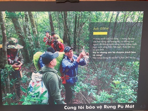 Nghệ An phát động tuyên truyền nói không với sử dụng động vật hoang dã trái phép - ảnh 7
