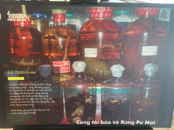 Nghệ An phát động tuyên truyền nói không với sử dụng động vật hoang dã trái phép - ảnh 4