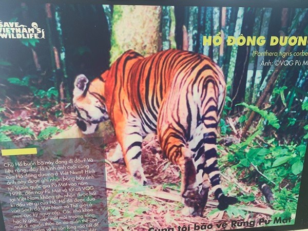 Nghệ An phát động tuyên truyền nói không với sử dụng động vật hoang dã trái phép - ảnh 5