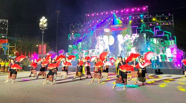Ấn tượng lễ hội đường phố 'Quê hương mùa sen nở' - ảnh 5