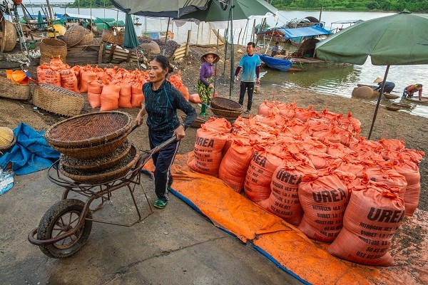 Làng nghề “đãi hến” hơn 300 tuổi, nét đẹp bên bờ sông La - ảnh 2