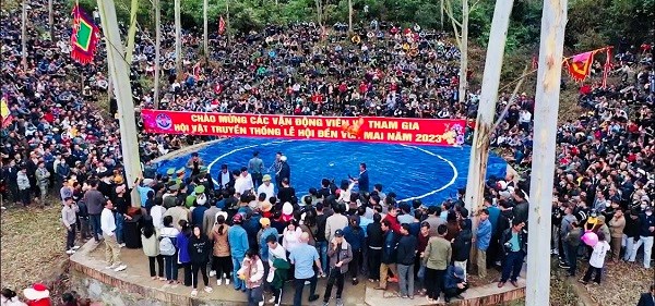 Sôi nổi giải đấu vật truyền thống ở lễ hội Vua Mai - ảnh 1