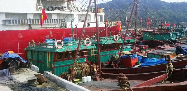 Nghệ An: Hoãn các cuộc họp không cấp bách, tập trung ứng phó với bão Noru - ảnh 1
