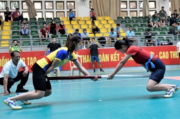 Gần 300 vận động viên tham gia giải vô địch đẩy gậy và kéo co toàn quốc - ảnh 1